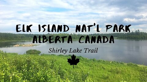 Elk Island National Park | Hiking with Baby!