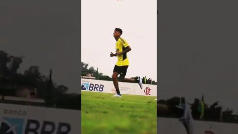 OS REFORÇOS JÁ ESTÃO TREINANDO NO NINHO!!!