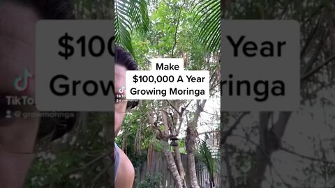 Make $100,000 A Year Growing Moringa