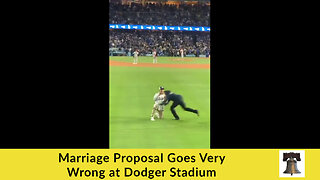 Marriage Proposal Goes Very Wrong at Dodger Stadium