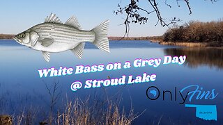 White Bass Fishing In Stroud Lake Oklahoma