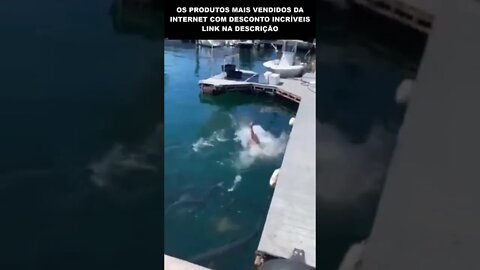 o dia que o pescador foi pescado