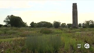 Piet Oudolf-designed garden officially opens on Belle Isle