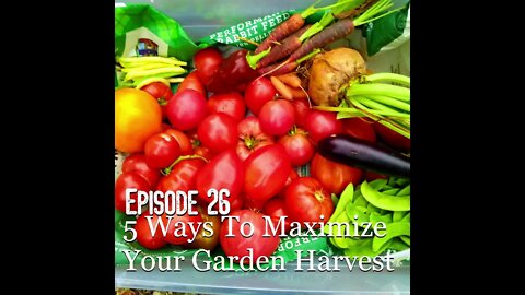 S1E26 5 Ways To Maximize Your Garden Harvest