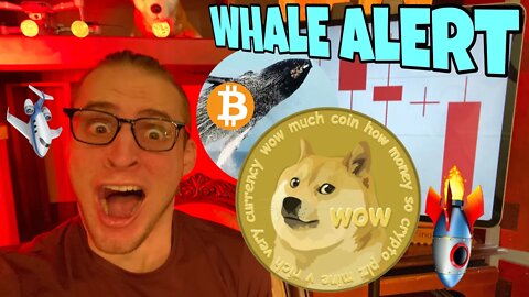 Bitcoin Whales CRYPTO CRASH ATTEMPT ⚠️ Dogecoin Fall ⚠️