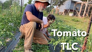 Tomato Talk, Tips for Healthy Harvest