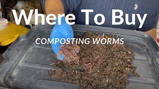 Where To Buy Composting Worms