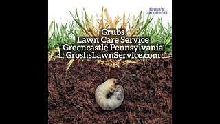 Grubs Greencastle Pennsylvania Lawn Care Service