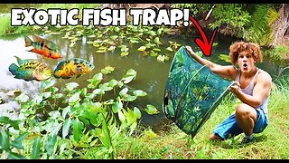 FISH TRAP Catches EXOTIC Aquarium FISH!