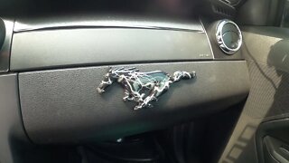 Custom Ford mustang Logo Horse