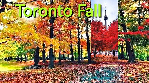 【4K】Autumn Canada 🍁 Fall colors