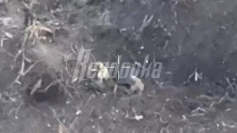 RUSSIAN ARTILLERY FINISHES OFF A DOZEN ENEMIES IN SEVERSK DIRECTION