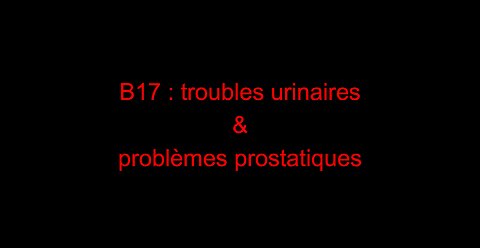 B17 : troubles urinaires & problèmes prostatiques