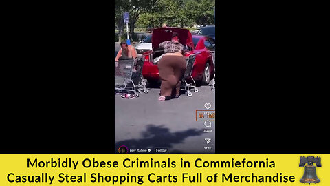 Morbidly Obese Criminals in Commiefornia Casually Steal Shopping Carts Full of Merchandise