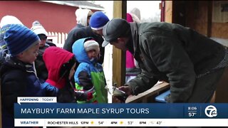 Maybury Farm Maple Syrup Tours