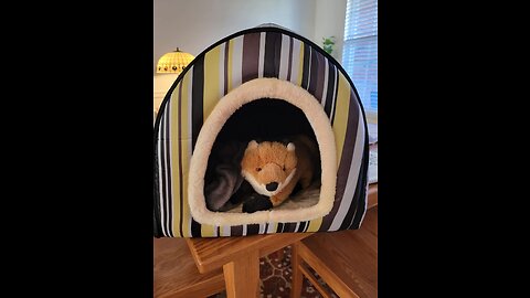 Dog Bed or Cat Bed,2 Ways to Use,Indoor Pet House with Fluffy Mat,Removable and Washable Cover,...