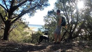 Hiking around Dana Peak Park 🐊