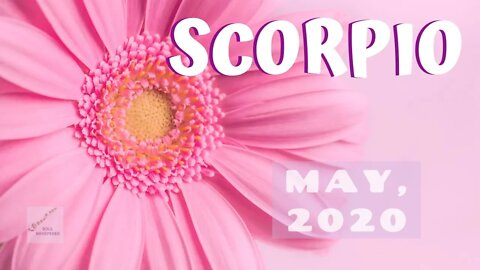 ♏ SCORPIO ♏: The Winds of Change * May 2020