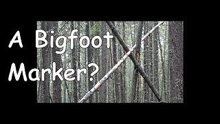 Bigfooter Gary Ep. 62 - Dark Fall Is Here