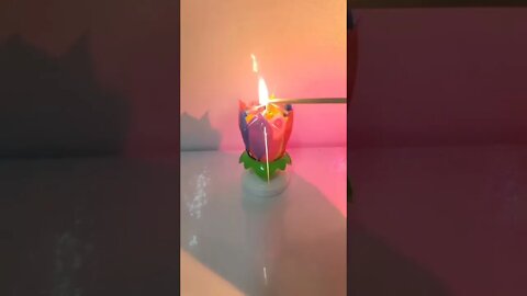 The Only Wayto Light Up a Birthday Cake 🥳🥳🎉 🕯️ #shorts #birthday #candle