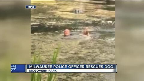 Milwaukee police officer saves dog from lagoon, twice