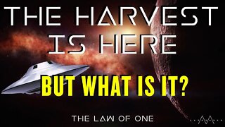 The Harvest // Law Of One 010