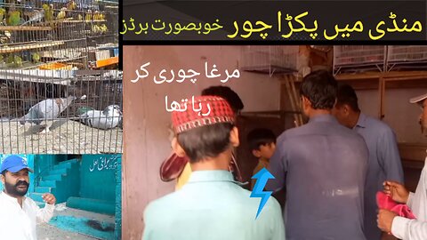 My first vlog || visit multan bird market