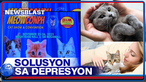 ALAMIN | Pag-aalaga ng pusa, solusyon sa depresyon