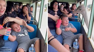 Scared Kid Hilariously Panics During Hermosillo Zoo Visit