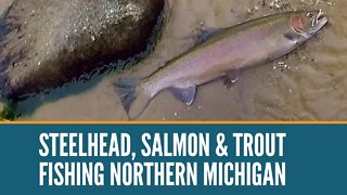 2021 Winter Steelhead Fishing Michigan / Manistee River Fishing / Fishing Northern Michigan