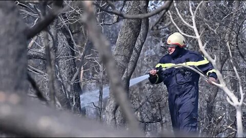 Posljedice velikog požara koji je noćas opustošio Zrće