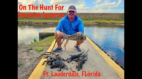 Hunting Invasive Iguana in the Canals of Fort Lauderdale, Florida