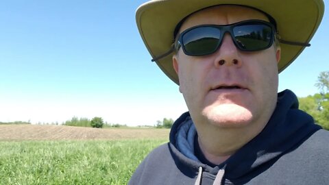 Out checking the first crop hay 2021