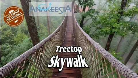 Anakeesta Treetop Skywalk