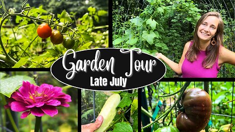 Vegetable Garden Tour | 2023 Tour #8 | July 2023