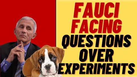 Did FAUCI Fund Puppy Medical Experiments?