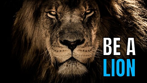 Adopt Silence Like a Lion | The Secret to Success