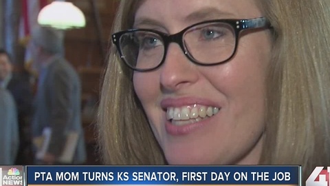 Dinah Sykes: PTA mom to Kansas senator