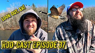 Goose Attack?!? | Winter Trout Fishing Attempt | Rod-Cast Episode: 37