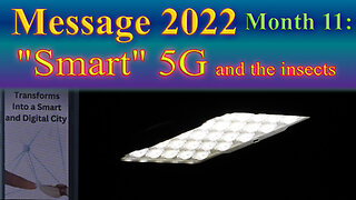 Message 2022/11 "Smart" 5G and the insects