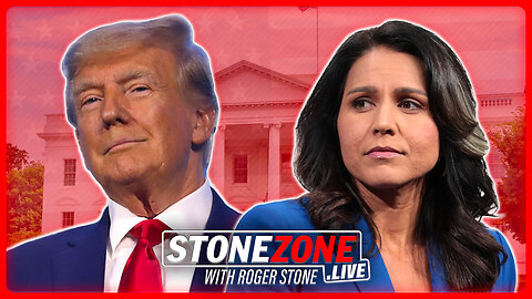 Tulsi Gabbard Could Be a Great VP Choice! — Roger Stone | WE in 5D: I've Thought the Same!