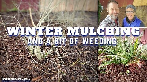 😉 Winter Weeding and Mulching - SGD 306 😉