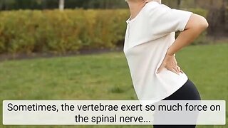 The Back Pain Breakthrough: The Natural Solution for a Pain-Free Life