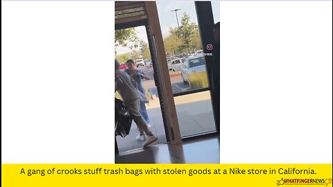 A gang of crooks stuff trash bags with stolen goods at a Nike store in California.