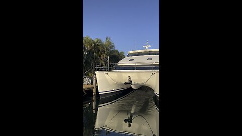 Big Cat #florida #pompano #yachtlife #boat