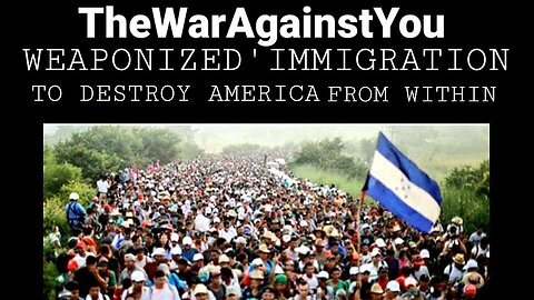 TheWarAgainstYou: The Weaponization of Illegal Immigrant Invasions Used To Destroy America From Within