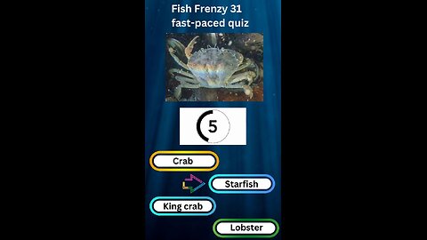 Fish Frenzy 31 A fast-paced quiz