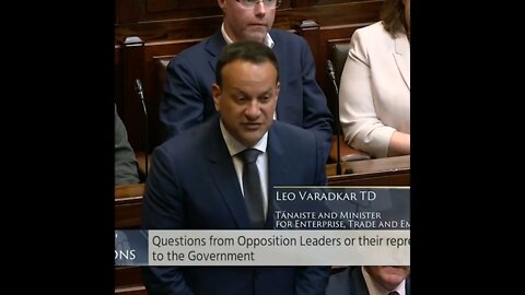 Leo Varadkar and Pearse Doherty pretend not to be friends