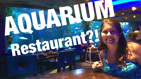 Should YOU Visit the Aquarium Restaurant?!