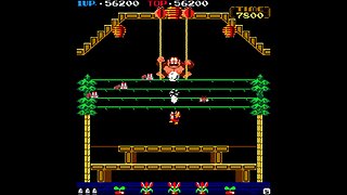 Let's Play: Donkey Kong 3 (Arcade)